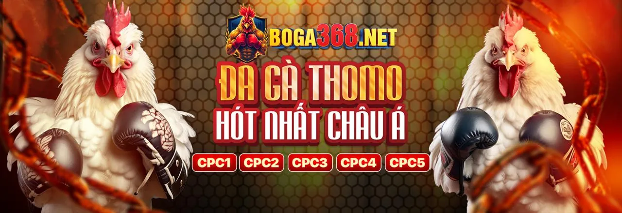 Đá gà trực tuyến Z88 Casino với các trận đấu kịch tính và gà chiến mạnh mẽ